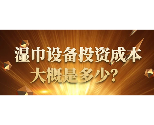 濕巾設(shè)備投資成本大概是多少？