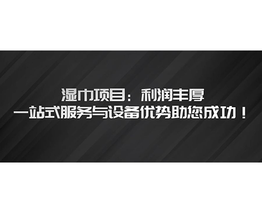濕巾項(xiàng)目：利潤豐厚，一站式服務(wù)與設(shè)備優(yōu)勢助您成功！