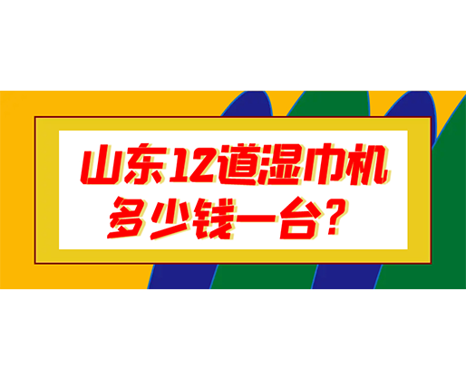 山東12道濕巾機(jī)多少錢一臺？